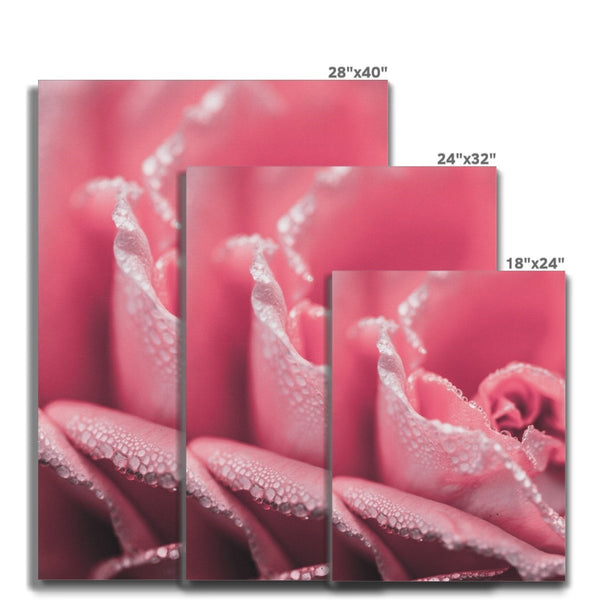 Passion 7 - Close-ups Canvas Print by doingly