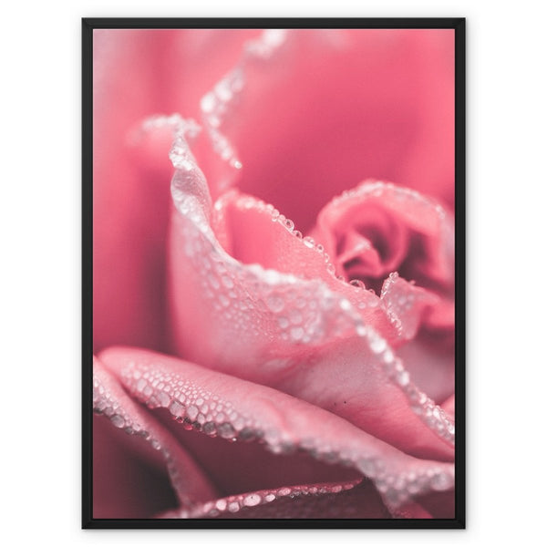 Passion 3 - Close-ups Canvas Print by doingly