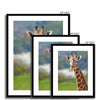 Portrait - Giraffe 5 - Animal Matte Print by doingly