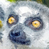 Portrait - Lemur 2 - Architectural Matte Print by doingly