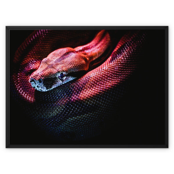 Quiet Coils 3 - Animal Canvas Print by doingly