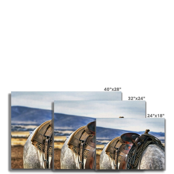 Saddled 7 - Animal Canvas Print by doingly