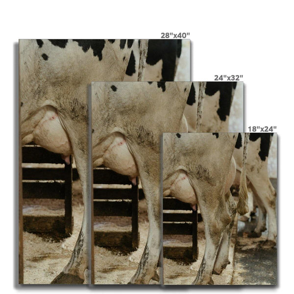 She's Got Legs 7 - Animal Canvas Print by doingly