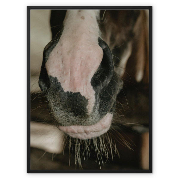 The Nose Knows 3 - Animal Canvas Print by doingly