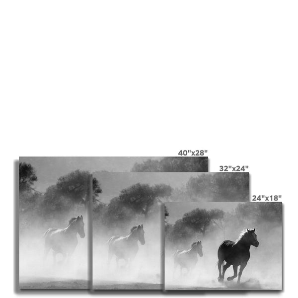 Unfettered Freedom 8 - Animal Canvas Print by doingly