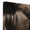 Whatchu Lookin' At? 4 - Animal Canvas Print by doingly