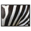 Zeebs 8 - Animal Canvas Print by doingly