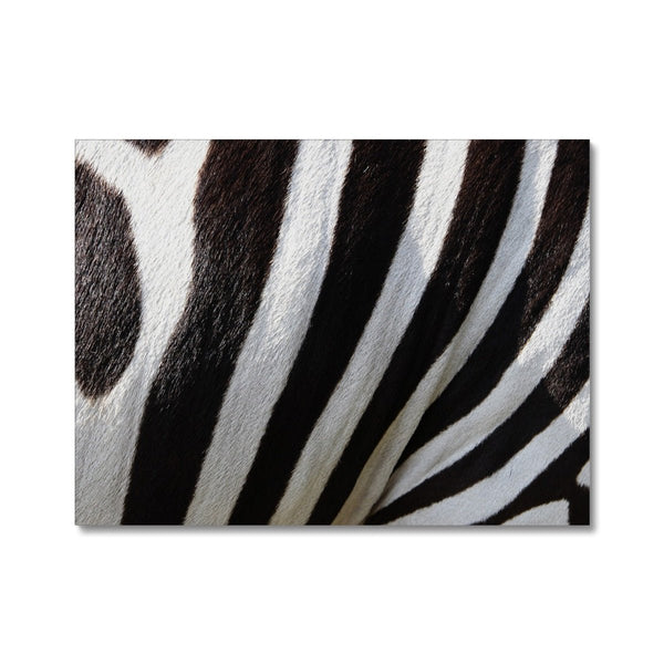 Zeebs 6 - Animal Canvas Print by doingly